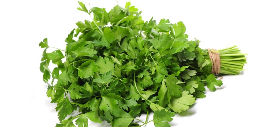 FSSAI for Coriander
